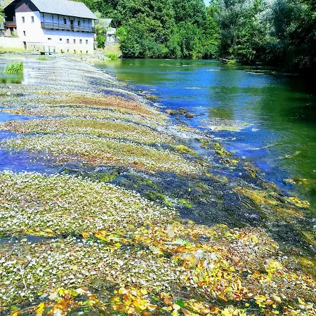 Apartma Skrilje *